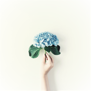 【6月】休診日のお知らせ