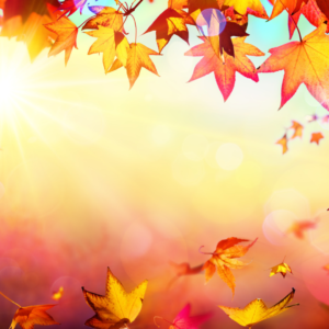 【11月】休診日のお知らせ