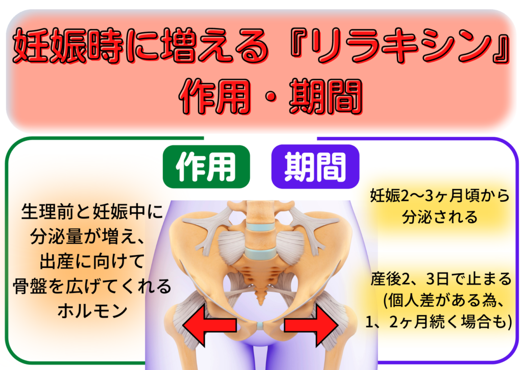 産後骨盤矯正 | 名東区上社 SUNDAY接骨院・整体院