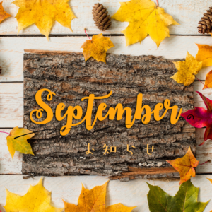 【9月】休診日のお知らせ